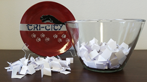 Picture of Bowl with Papers in it representing the lottery process